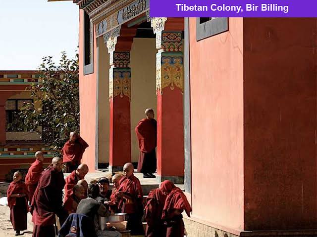 Tibetan Colony
